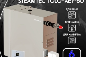 STEAMTEC TOLO-60 KEY - 6 кВт, 220/380 В